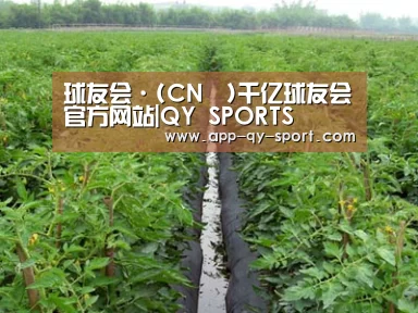 种植基地三